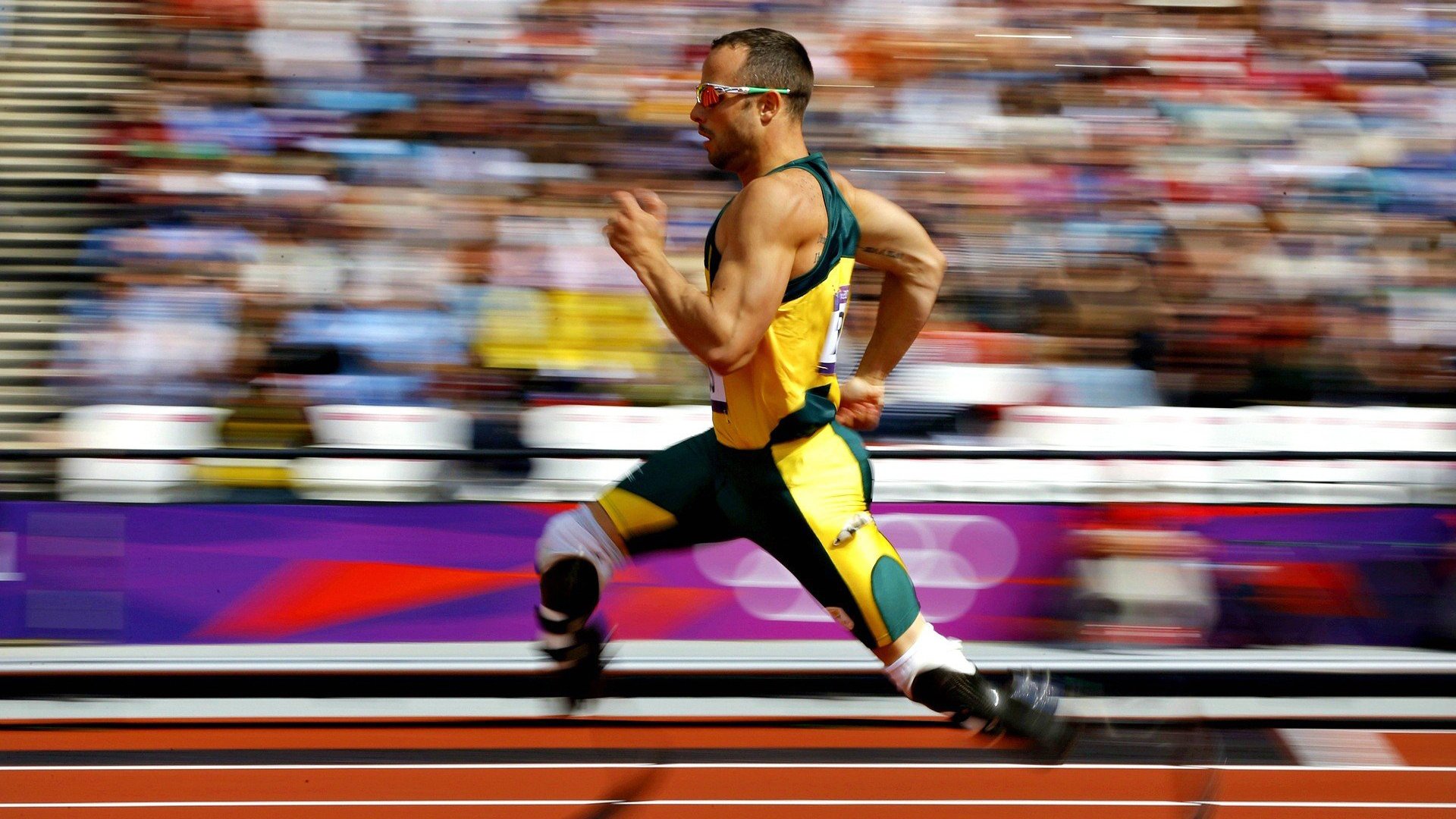 kaiyun中国官方网站-“绿色生态场馆+智能管理”成为行业新标配，行业基础更牢固，绿色生态长廊什么意思